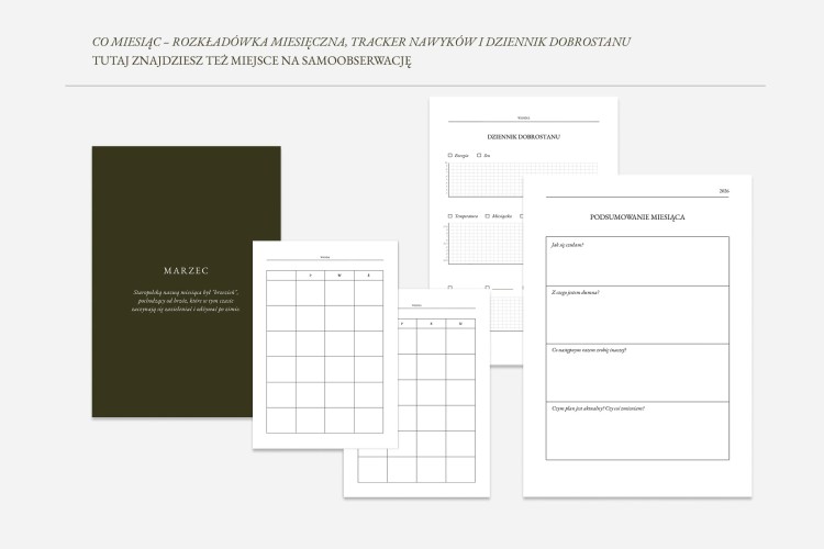 5. plan tygodniowy.jpg